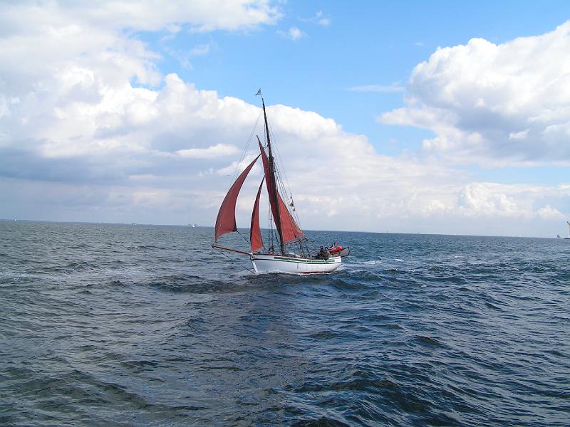 08 05 393.JPG